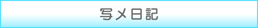 写メ日記